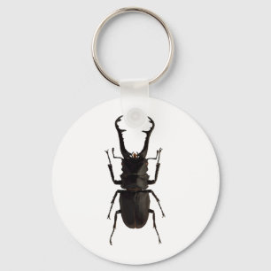 Stag Beetle Sleutelhanger
