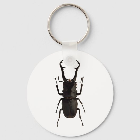 Stag Beetle Sleutelhanger (Voorkant)