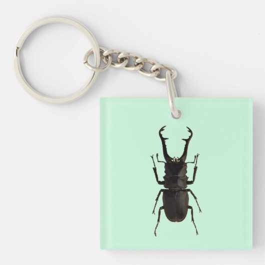 Stag Beetle Sleutelhanger (voorkant)