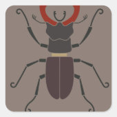 Stag Beetle Vierkante Sticker (Voorkant)