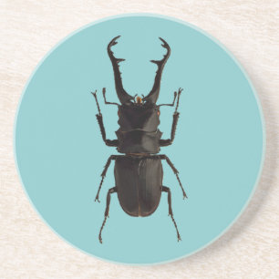 Stag Beetle Zandsteen Onderzetter