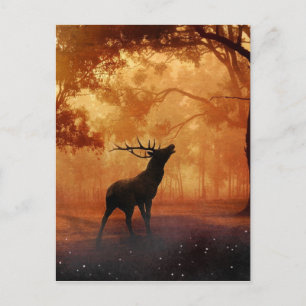 Stag bij zonsondergang briefkaart