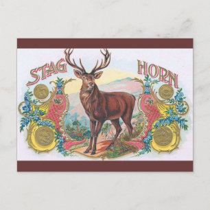  Stag Briefkaart