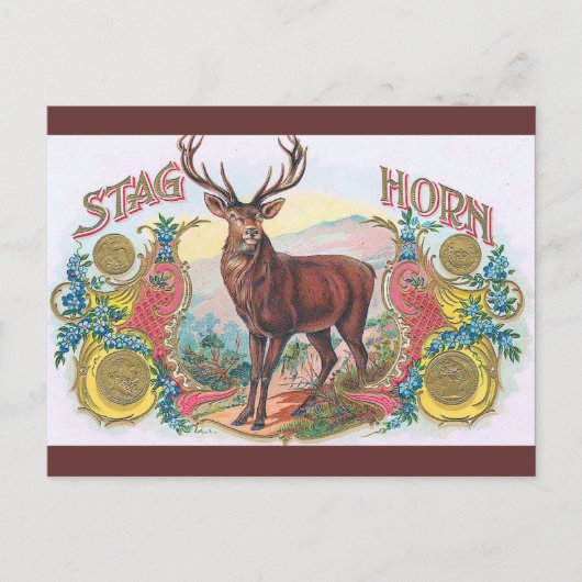  Stag Briefkaart (Voorkant)