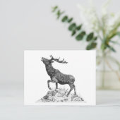 Stag - Carte postale vide (Debout devant)