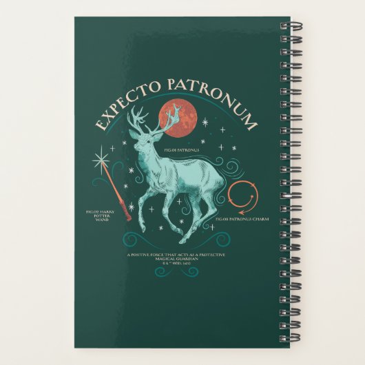 Stag Expecto Patronum Graphic (Dos)