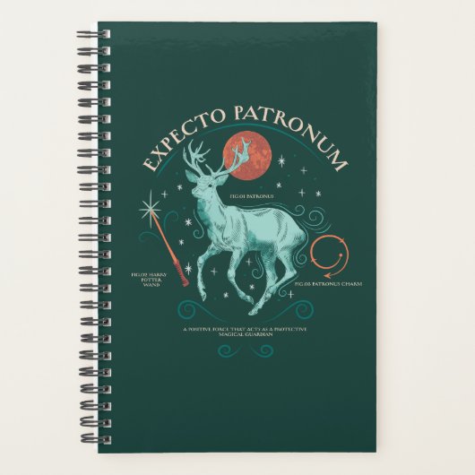 Stag Expecto Patronum Graphic (Devant)