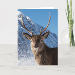 Stag Feestdagen Kaart