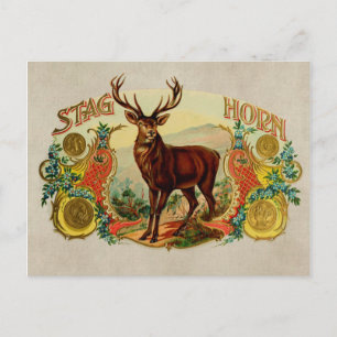  Stag Horn Briefkaart