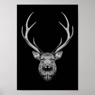 Stag poster