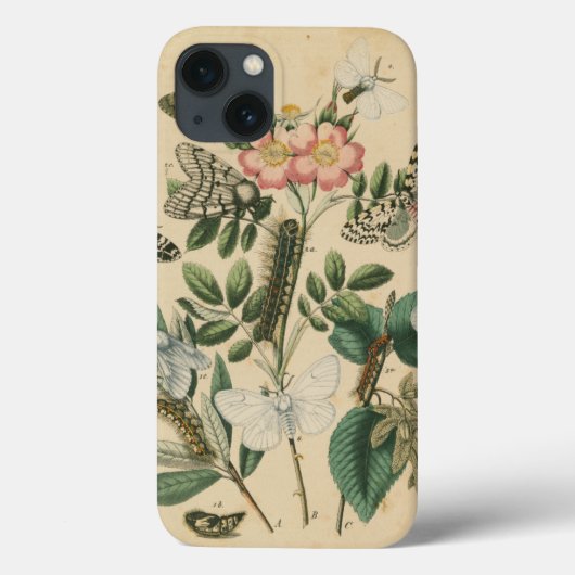 Stages van Butterfly Life by Vision Studio Case-Mate iPhone Case (Achterkant)