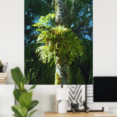 Staghorn Fern Poster (Thuiskantoor)