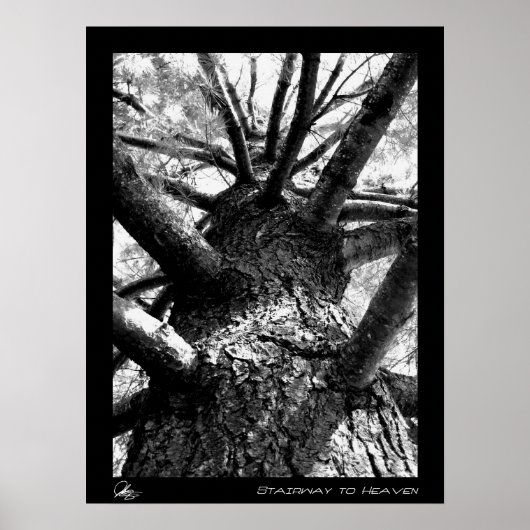 Stairway naar de hemel poster (Voorkant)