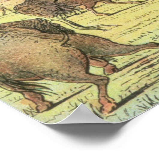 Stalkbuffel Poster (Hoek)