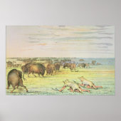 Stalkbuffel Poster (Voorkant)