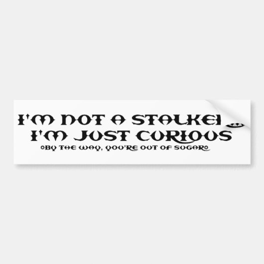 STALKER2 BUMPERSTICKER (Voorkant)