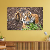 Stalking Bengal Tiger Closeup Pose Canvas Art (Insitu (Woonkamer))