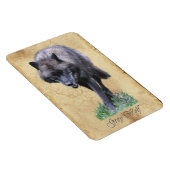 Stalking Grey Wolf Faune Art Flexi Magnet (Côté Droit)