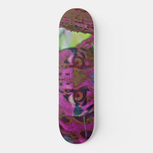 Stalking Prey Skateboard (Voorkant)