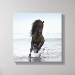 Stallion aan boord   Noord-Atlantische Oceaan Canvas Afdruk