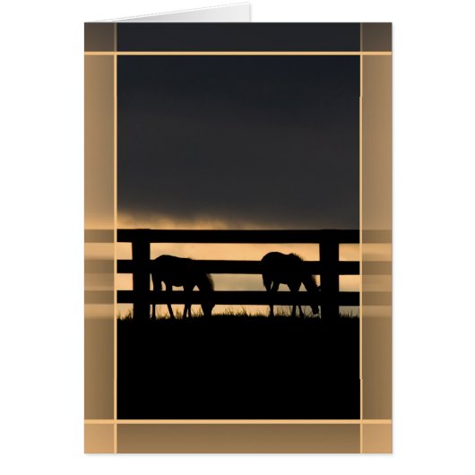 Stallion Boerderij Inkomend Storm (Voorkant)