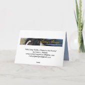 Stallion Gris Sauvage Protège Sa Carte Mares (Dos)