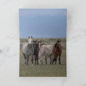 Stallion Gris Sauvage Protège Sa Carte Mares (Intérieur)