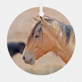 Stallion kijkt ornament (Achterkant)