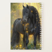 Stallion noir magique (Dos)