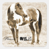 Stallion sauvage Picasso Paint Horse Stickers West (Devant)