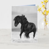 Stallion sauvage Turns - Carte de voeux de Cheval (Fleur jaune)