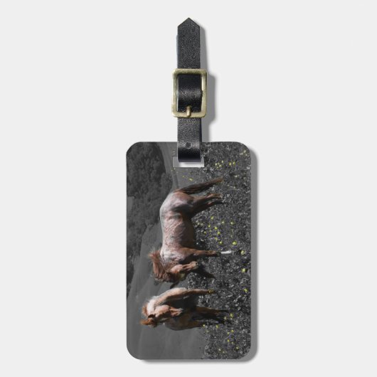 Stallion Spar Bagagelabel (Voorkant verticaal)