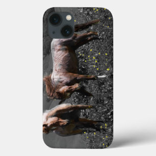 Stallion Spar iPhone 13 Hoesje