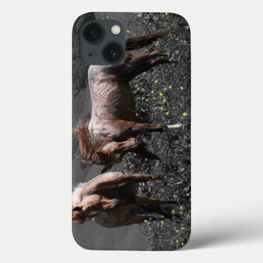 Stallion Spar Case-Mate iPhone Case (Achterkant)