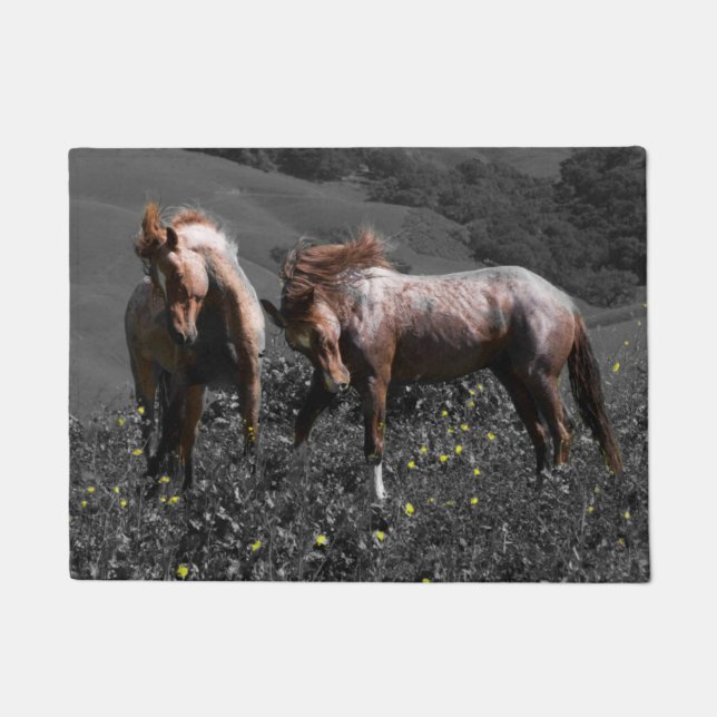 Stallion Spar Deurmat (Voorkant)