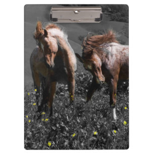 Stallion Spar Klembord