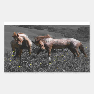 Stallion Spar Rechthoekige Sticker