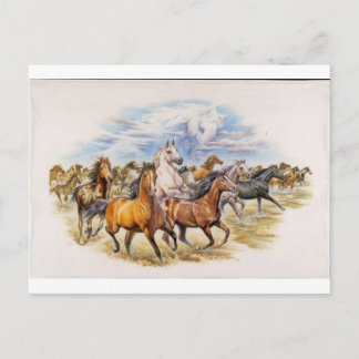 Stallion Stampede Briefkaart