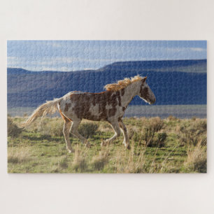 Stallion, Steens-bergen, Oregon Legpuzzel