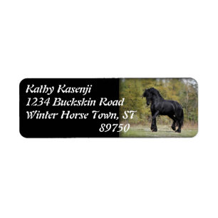 Stallion Strut Etiket