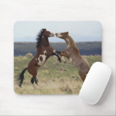 Stallions, Steens-gebergte, Oregon Muismat (Met muis)