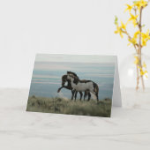 Stallions sur la carte de voeux du Haut Désert (Fleur jaune)