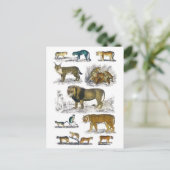 Stalvee Briefkaart (Staand voorkant)