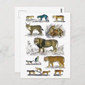 Stalvee Briefkaart (Voorkant / Achterkant)