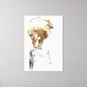 Stambecco d'Oro 2005 Canvas Afdruk