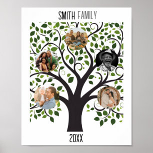 Stamboom met foto's -  familie poster