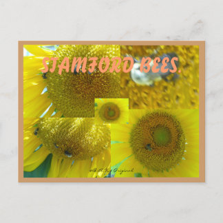 STAMFORD CT BEES BRIEFKAART