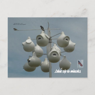 Stamford Ct Briefkaart