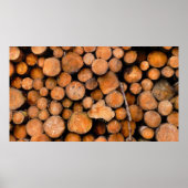 stamhout poster (Voorkant)