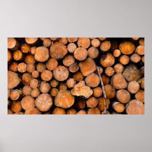 stamhout poster (Voorkant)